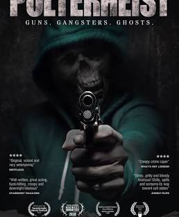 Poster for the movie Polterheist.